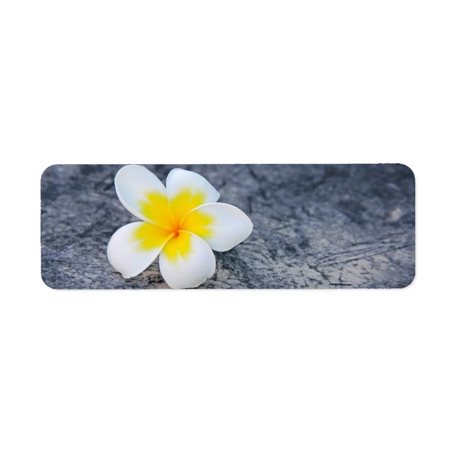 Étiquette Plumeria (Devant)