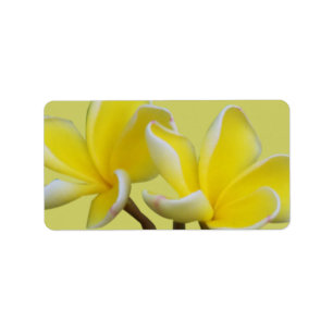 Étiquette Plumeria Adresse professionnelle/Étiquettes d'expé
