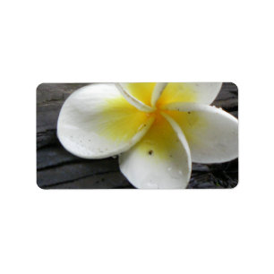 Étiquette Plumeria Adresse professionnelle/Étiquettes d'expé