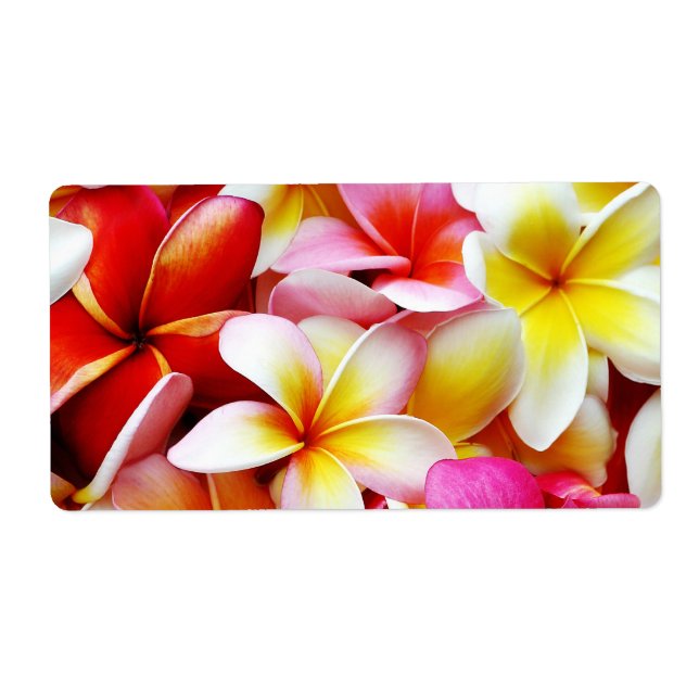 Étiquette Plumeria Frangipani Hawaii Fleur Customisée (Devant)