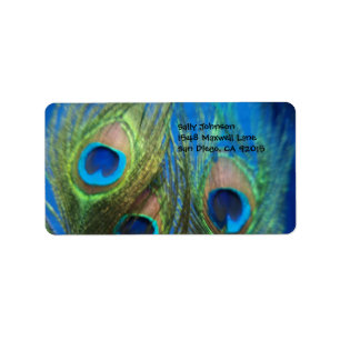 Étiquette Plumes Peacock Bleues
