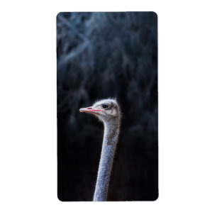 Étiquette portrait d'autruche