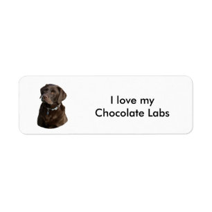 Étiquette Portrait de photo de chien de Labrador de chocolat