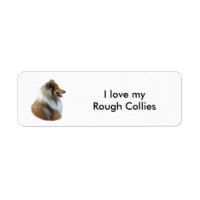 Portrait de Rough Collie