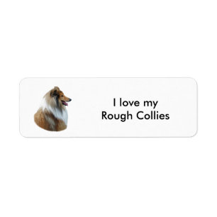Étiquette Portrait de Rough Collie