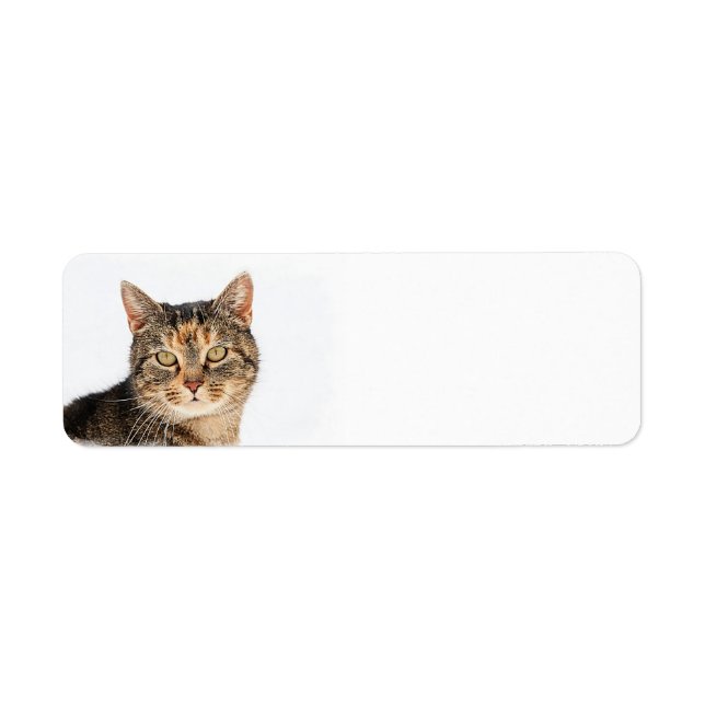 Étiquette Portrait d'un chat (Devant)