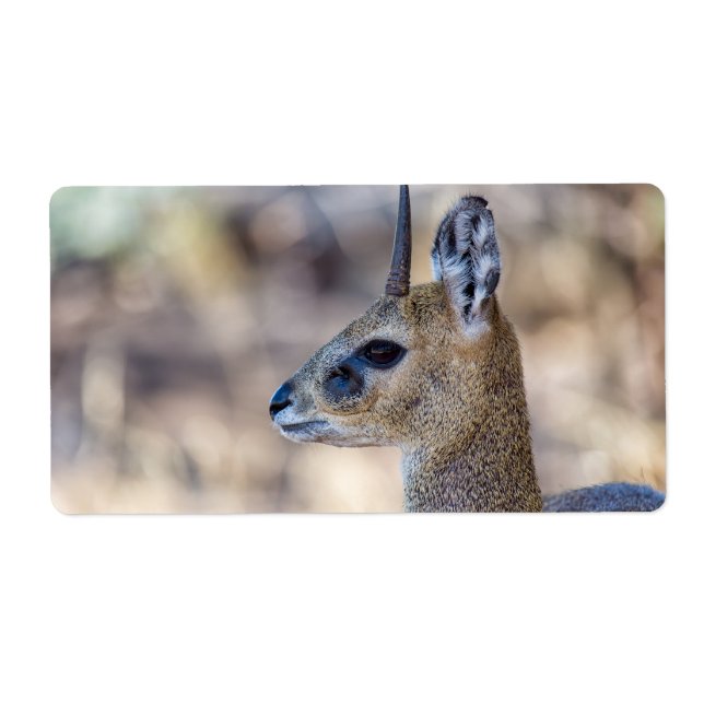 Étiquette Portrait Klipspringer (Devant)