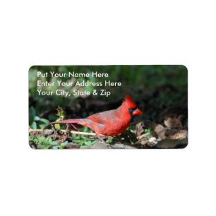 Étiquette postale cardinale