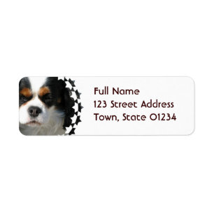 Étiquette postale cavalière de chien d'épagneul