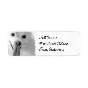 Étiquette postale d'adresse de retour de chien de