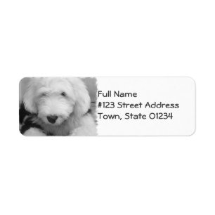 Étiquette postale d'adresse de retour de chien de