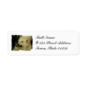 Étiquette postale d'adresse de retour de chiot de
