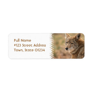 Étiquette postale d'adresse de retour de coyote