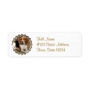 Étiquette postale de chien de chasse de beagle