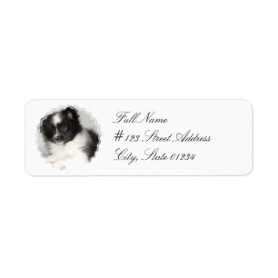 Étiquette postale de chien de Pomeranian de jouet