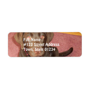 Étiquette postale de chiot de Labrador de chocola
