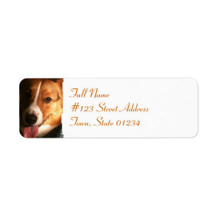Étiquette postale de corgi de Gallois de cardigan