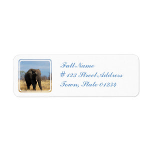Étiquette postale de pachyderme