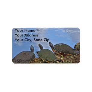 Étiquette postale de tortue
