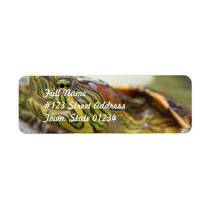 Étiquette postale d'identification de tortue