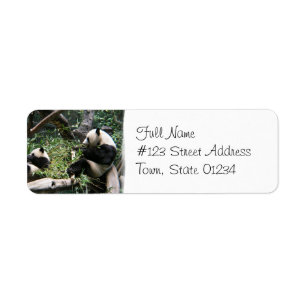 Étiquette postale d'ours panda