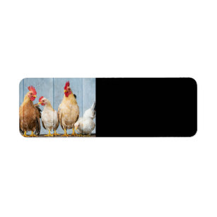 Étiquette Poules et poules