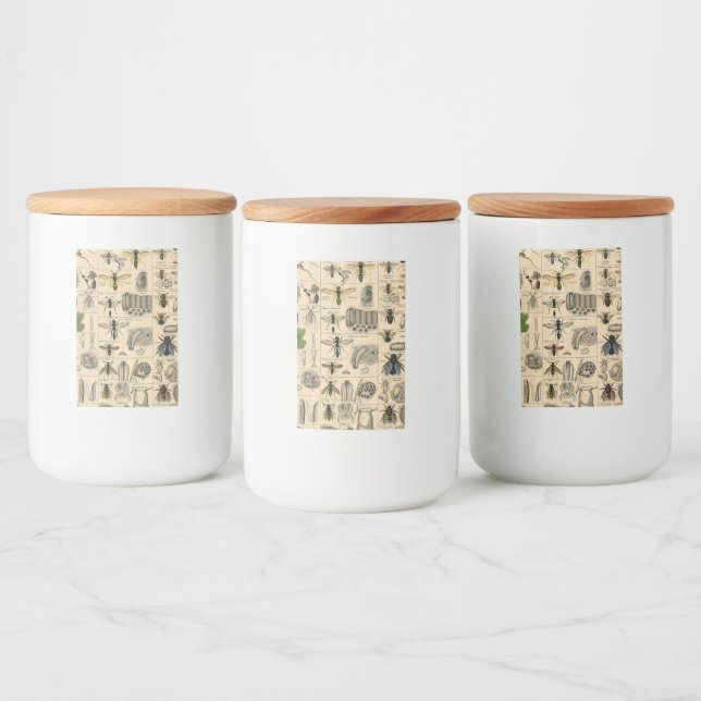 Étiquette Pour Bocaux Abeille Insecte Bug Wasp Histoire naturelle abeill (Bouteilles)