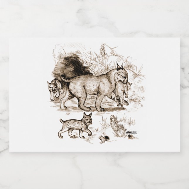 Étiquette Pour Bocaux Famille Bobcat (Étiquettes simples)