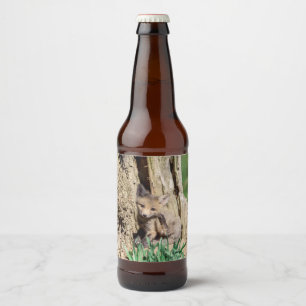 Étiquette Pour Bouteilles De Bière Kit Fox dans la vallée de l'Hudson