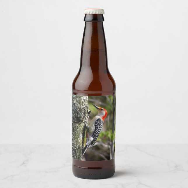 Étiquette Pour Bouteilles De Bière Pic à ventre rouge (Devant)