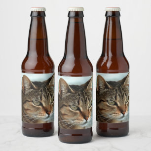 Étiquette Pour Bouteilles De Bière Tabby Cat étonnant FermerPortrait Artistique