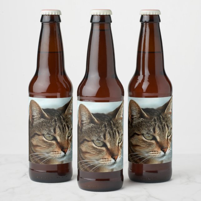 Étiquette Pour Bouteilles De Bière Tabby Cat étonnant FermerPortrait Artistique (Bouteilles)
