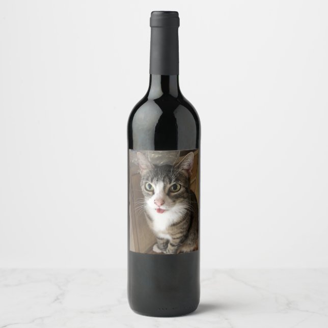 Étiquette Pour Bouteilles De Vin Cat (Devant)