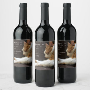 Étiquette Pour Bouteilles De Vin Chat couché sur un canapé