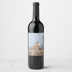 Étiquette Pour Bouteilles De Vin Chouette neige assise sur la plage