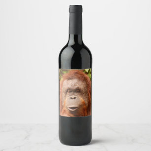 Étiquette Pour Bouteilles De Vin Corbeau orangoutan