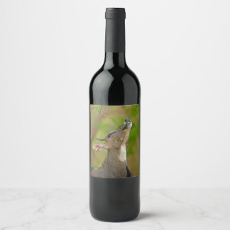 Étiquette Pour Bouteilles De Vin Custom deer