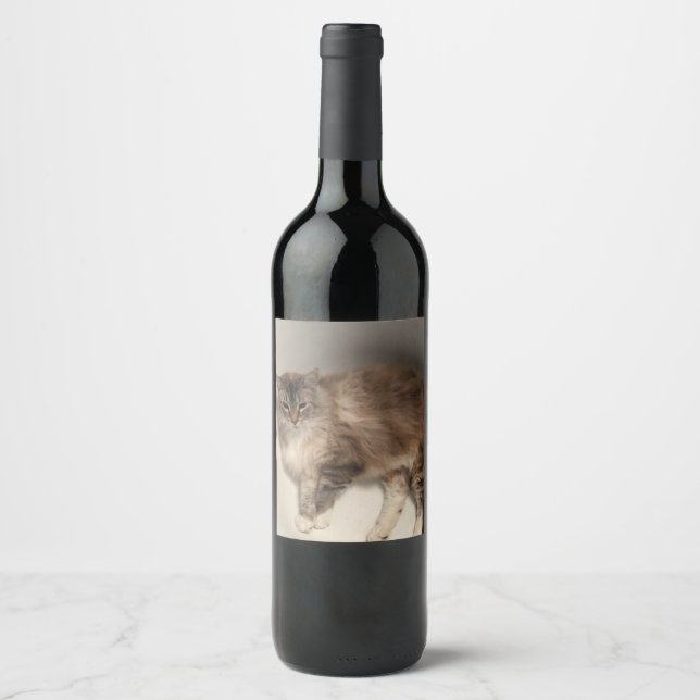 Étiquette Pour Bouteilles De Vin Étiquette de bouteille de chat (Devant)