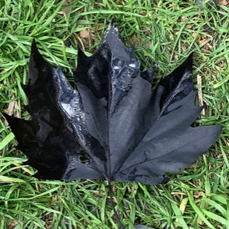 Étiquette Pour Bouteilles De Vin Food and Beverage Label Set .