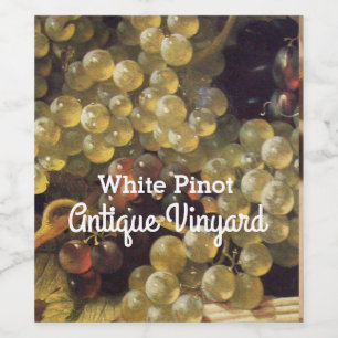 Étiquette Pour Bouteilles De Vin Graisses BLANCHES Soirée de dégustation de vin bla