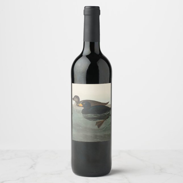 Étiquette Pour Bouteilles De Vin Impression de Macreuse noire d'Audubon : Canard cô (Devant)