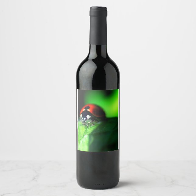 Étiquette Pour Bouteilles De Vin Ladybug (Devant)