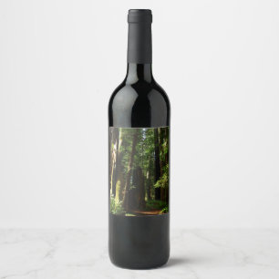 Étiquette Pour Bouteilles De Vin Les séquoias et les fougères du parc national Redw