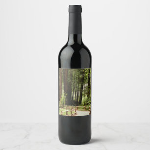 Étiquette Pour Bouteilles De Vin Muir Woods Chemin I Nature Photographie