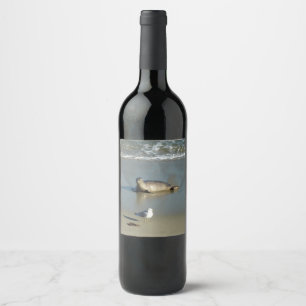 Étiquette Pour Bouteilles De Vin Phoque du port à La Jolla en Californie