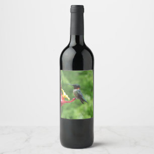 Étiquette Pour Bouteilles De Vin Photographie d'oiseau de colibri à gorge rubis