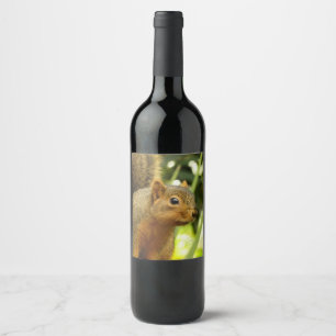 Étiquette Pour Bouteilles De Vin Portrait d'un écureuil Photographie d'animal de na