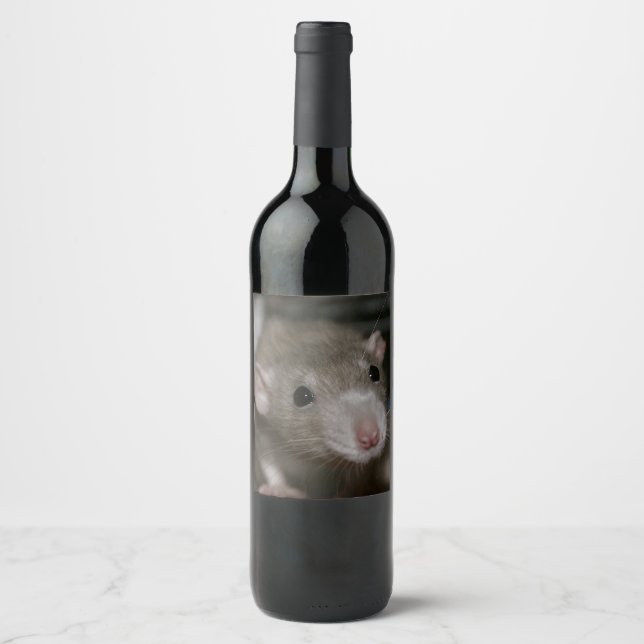 Étiquette Pour Bouteilles De Vin Rat curieux (Devant)