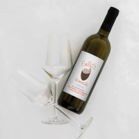 Recette de Coquito Boisson Noix de Coco Dessinée à