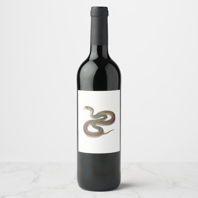 Étiquette Pour Bouteilles De Vin Serpent (Devant)